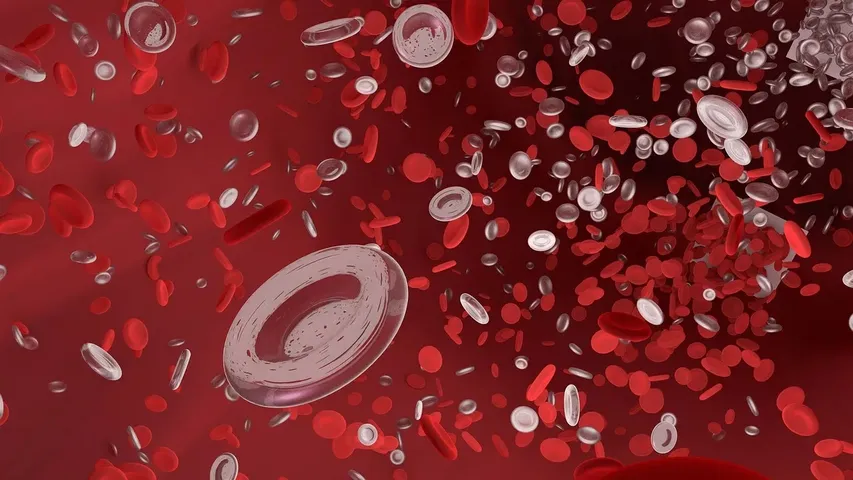blood test